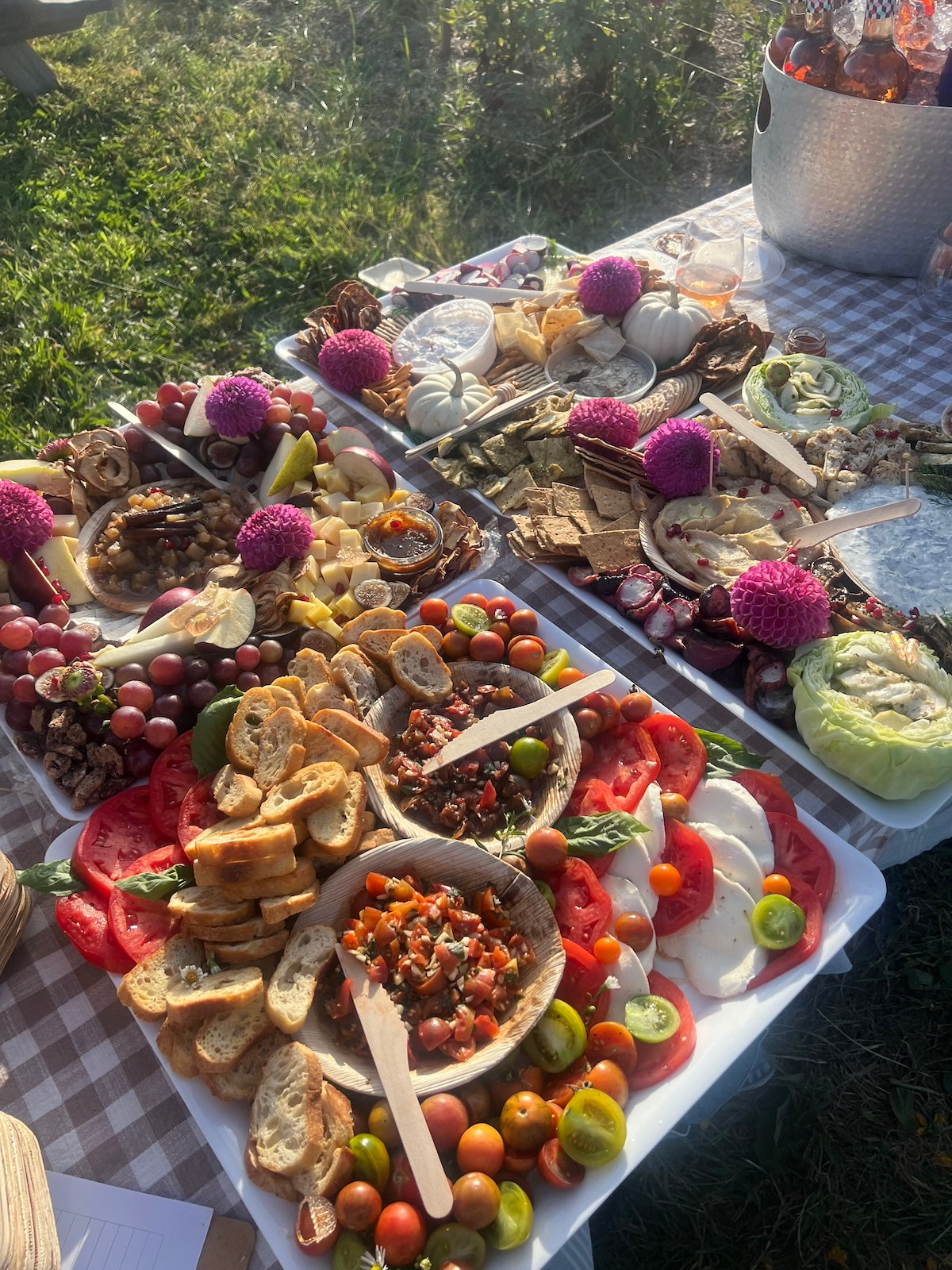 Dahlia Night at Share the Harvest Farm